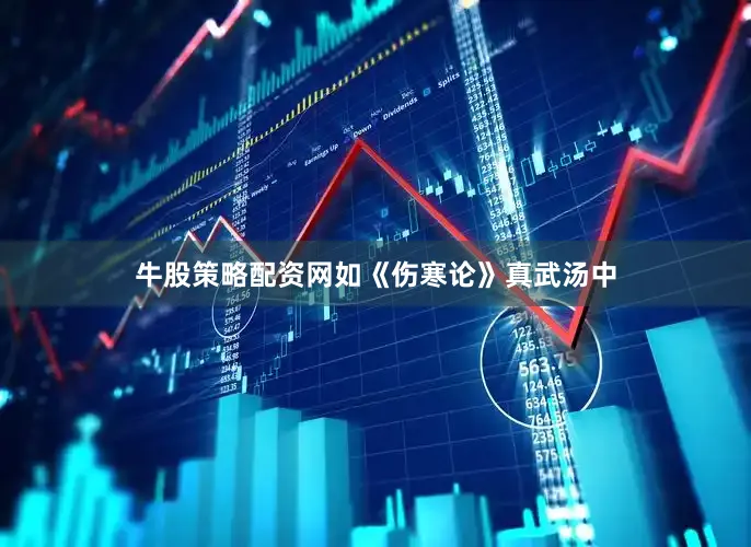 牛股策略配资网如《伤寒论》真武汤中
