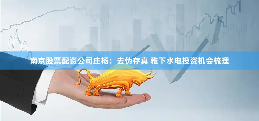 南京股票配资公司庄杨：去伪存真 雅下水电投资机会梳理