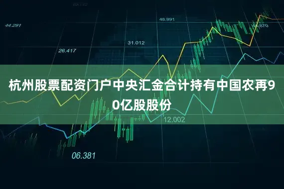 杭州股票配资门户中央汇金合计持有中国农再90亿股股份