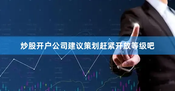 炒股开户公司建议策划赶紧开放等级吧