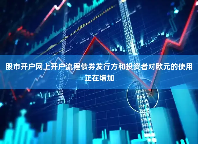 股市开户网上开户流程债券发行方和投资者对欧元的使用正在增加